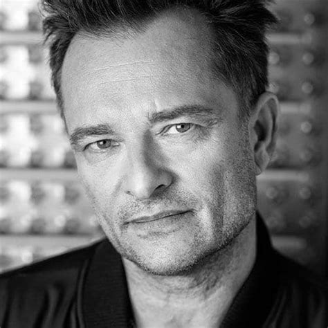 david hallyday age and career